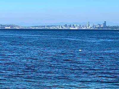 Seattle in the distance across the water