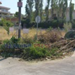 Προβολή άλμπουμ