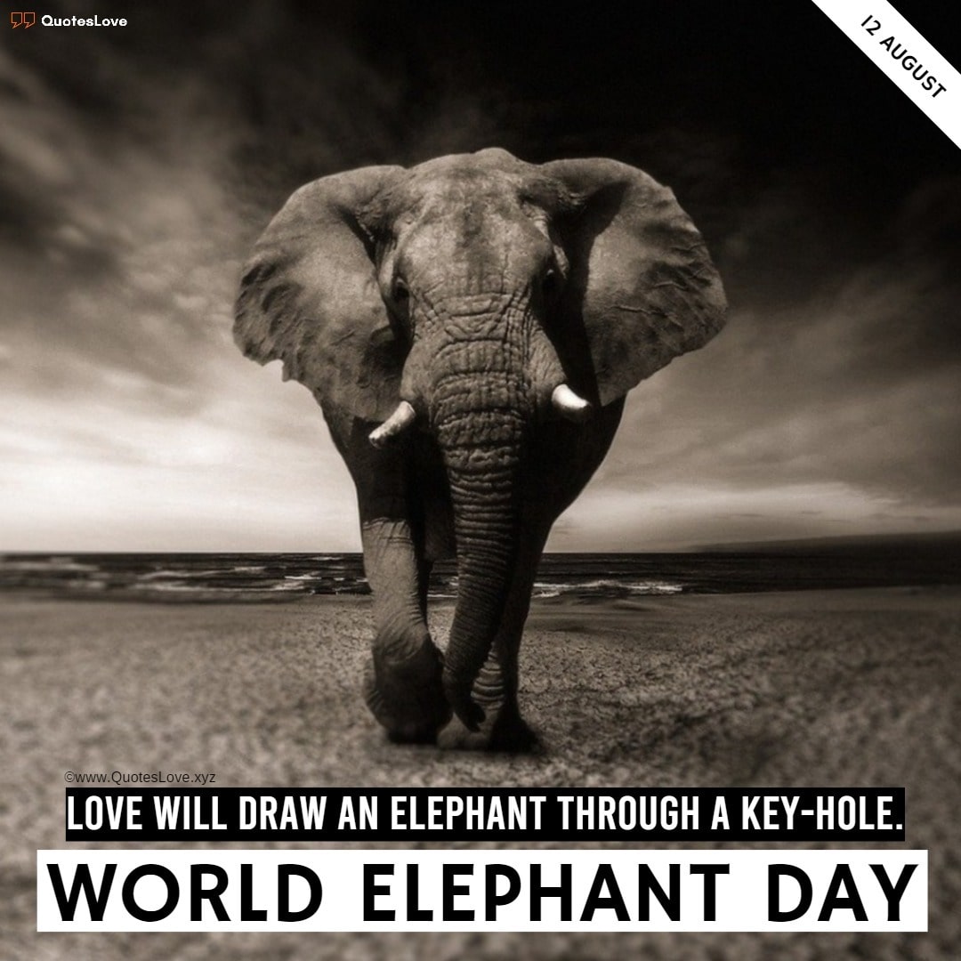 World Elephant Day Quotes, Sayings, Wishes, Greetings, Images, Pictures, Poster