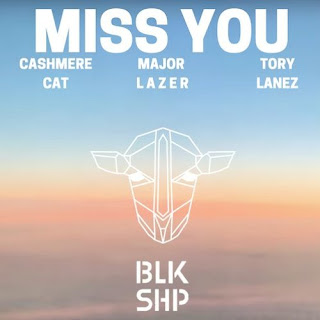 Lirik Lagu Cashmere Cat, Major Lazer, Tory Lanez - Miss You dan Terjemahan Bahasa Indonesia