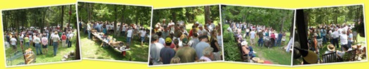 View The Auction