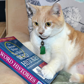 Webster (cat) poses with a book.