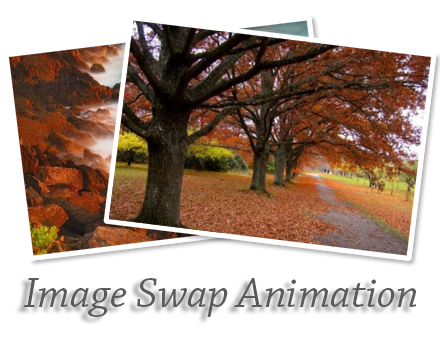 Image+swap+animation