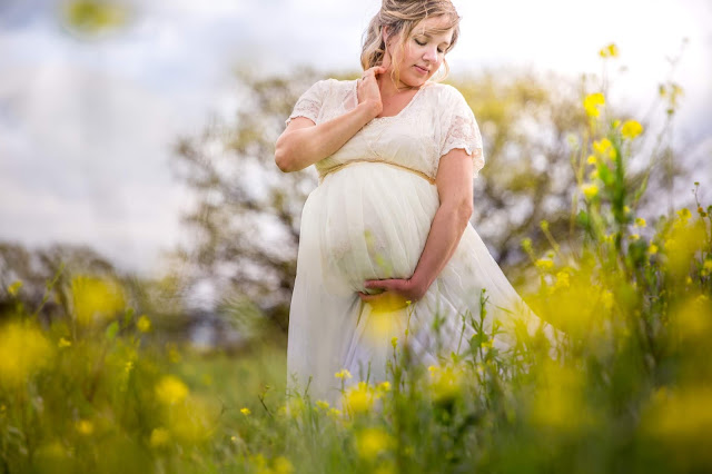 fremont maternity photographer