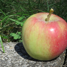 Apple with a partial streaky red blush