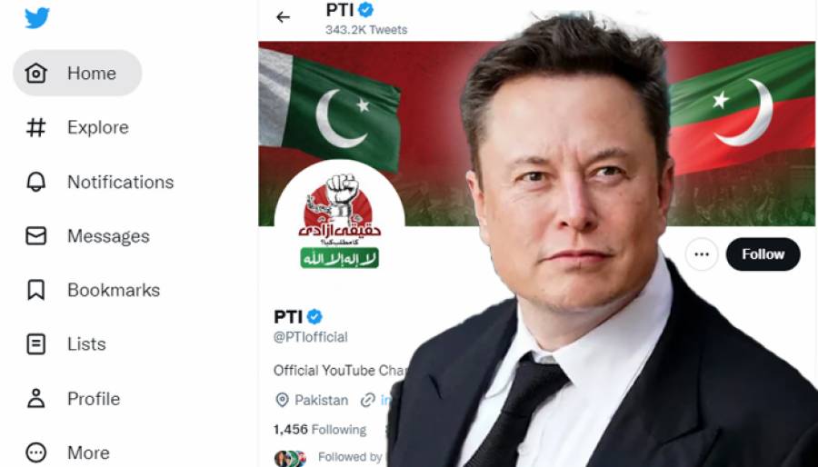 Several Twitter accounts of PTI have been suspended