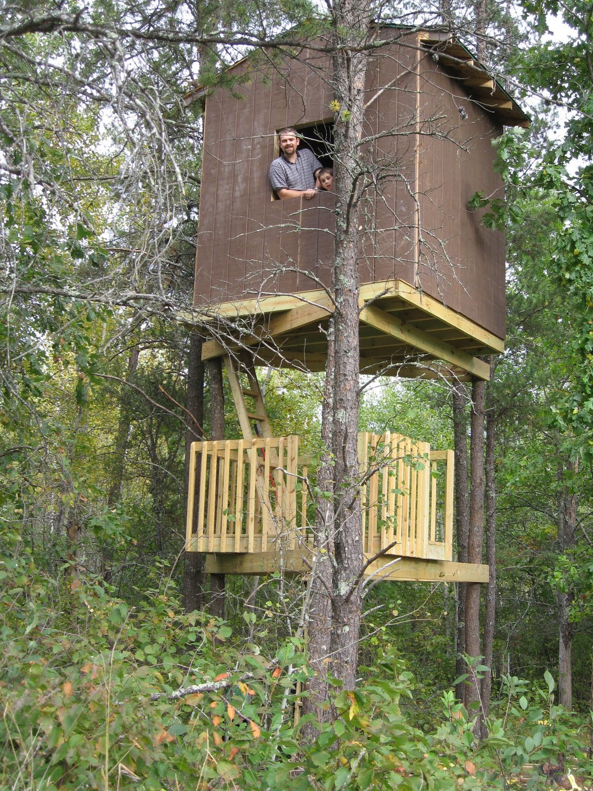 Proverbs 31 Living The story of a tree fort and simple 