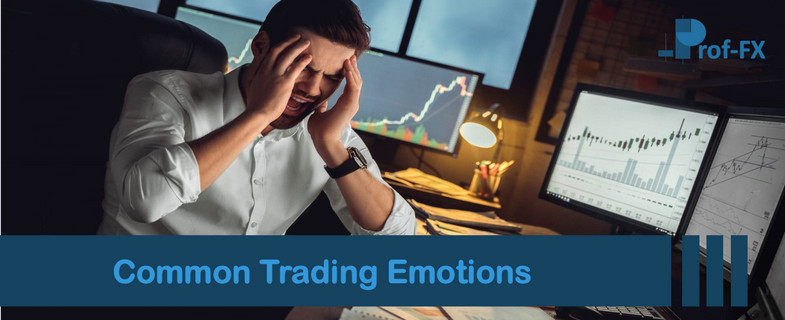 Common Trading Emotions