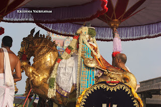 Kuthirai Vahanam,Vellai Sattupadi, Thiruavathara Utsavam,1000th Birthday ,Udaiyavar ,Udayavar,Sashrabdhi Utsavam, Ramanujar,Emperumanar, Thiruvallikeni, Sri PArthasarathy Perumal, Temple, 2017, Video, Divya Prabhandam,Utsavam,