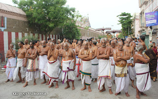 Ammavasai,Vaigasi, Purappadu,Video, Divya Prabhandam,Sri Parthasarathy Perumal, Triplicane,Thiruvallikeni,Utsavam,