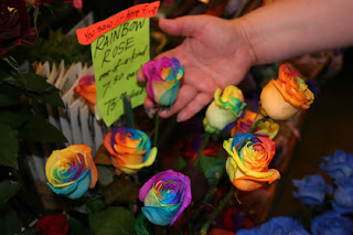 THE REAL RAINBOW ROSES