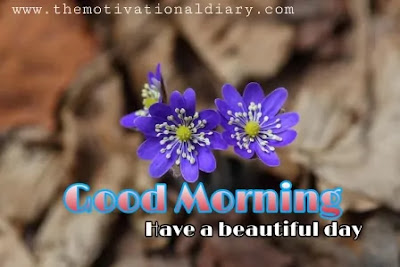 good-morning-status-download-the-motivational-diary-by-ram-maurya