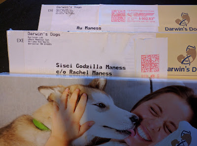 my dogs got mail