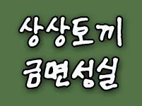 상상토끼 금면성실체