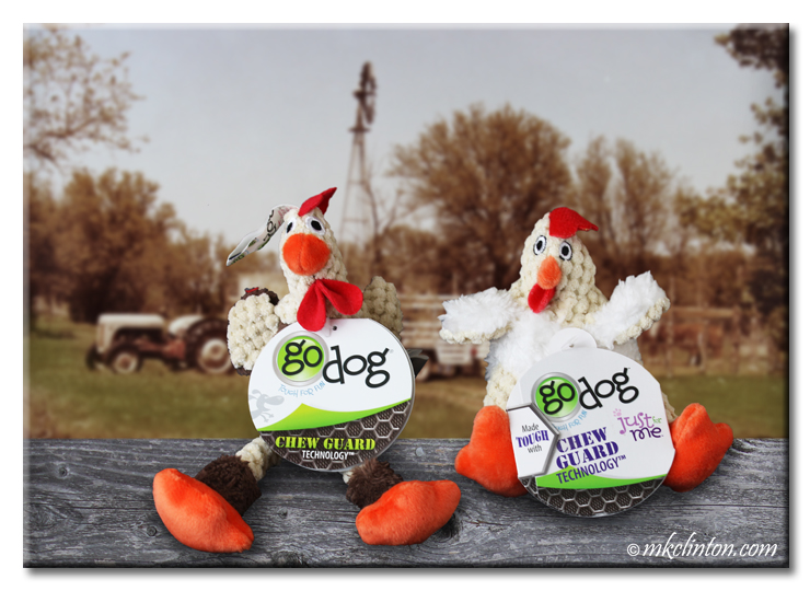 Two GoDog Roosters from GoDog™ with farm in background