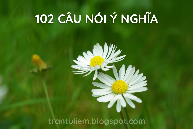 102 câu nói ý nghĩa thay đổi cuộc đời