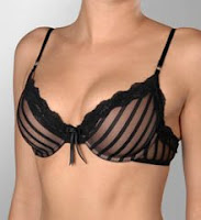 Elle Macpherson Intimates Sheer Ribbons Underwire Bra