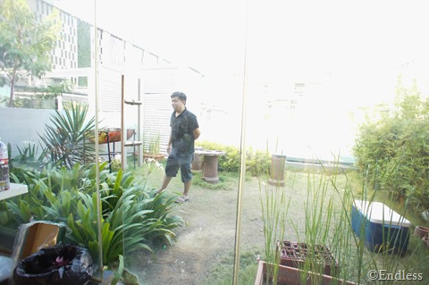 SONY DSC