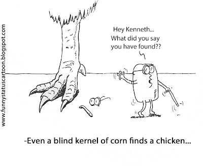 even a blind chicken finds a kernel of corn funny facebook update