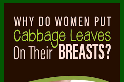 Women are putting Cabbage leaves on their breast, reason behind it will make you happy…