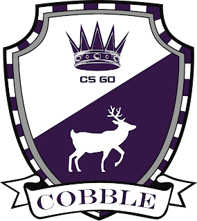 the_cobblestone CS GO PNG