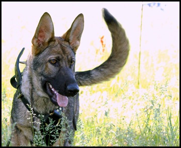 2010.5.28 Jake by Jason (5)