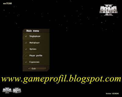 Arma 2 Download For PC Full Version 