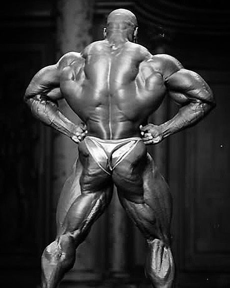 Rear Lat Spread Pose