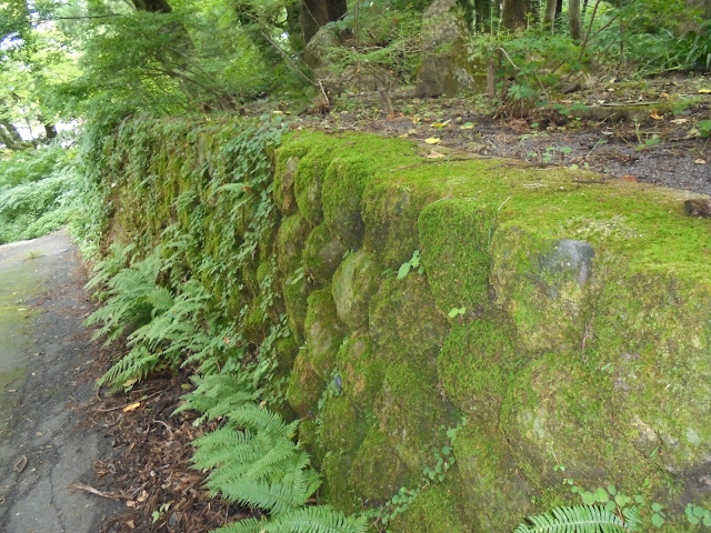 円流院前の石垣と苔
