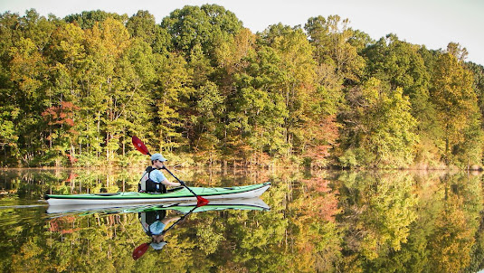 Kayaking is great for you