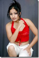 www.okgot.com