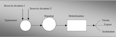 traitement des boues