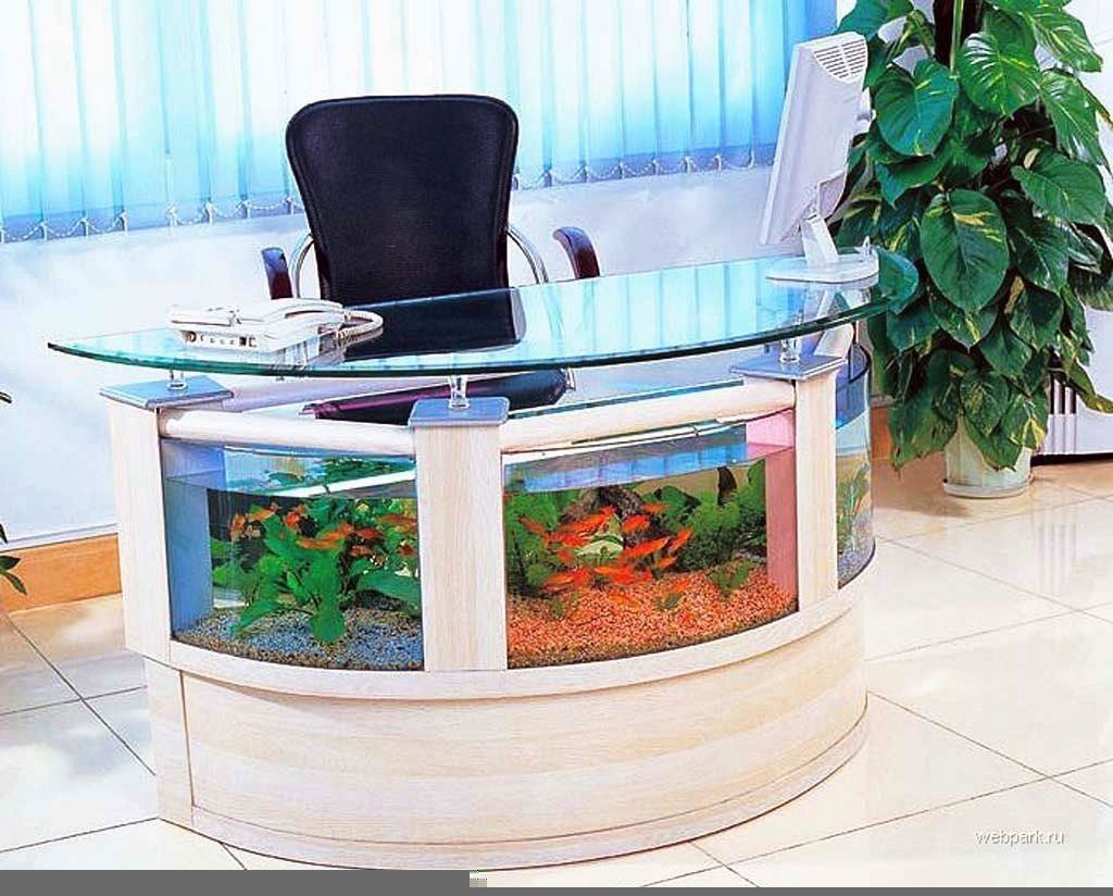 Desain Ruang Tamu  Dengan Aquarium Gambar Desain Rumah 