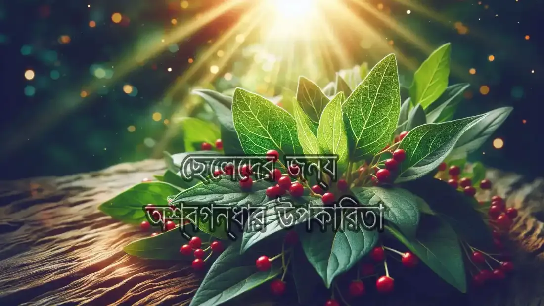 অশ্বগন্ধা ট্যাবলেট এর উপকারিতা