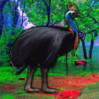 Games2Rule - G2R Escape Game Save The Cassowary