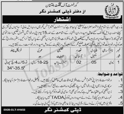 Deputy Commissioner Office Jobs 2022 || Apply Now