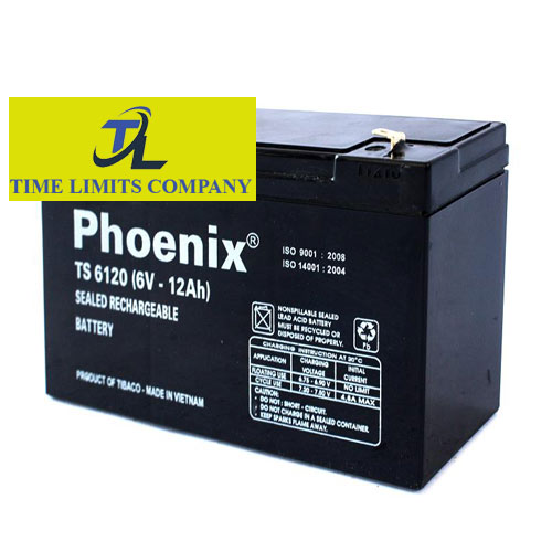 Bình ắc quy Phoenix TS 6120 (6V-12AH) Chính Hãng Giá Rẻ