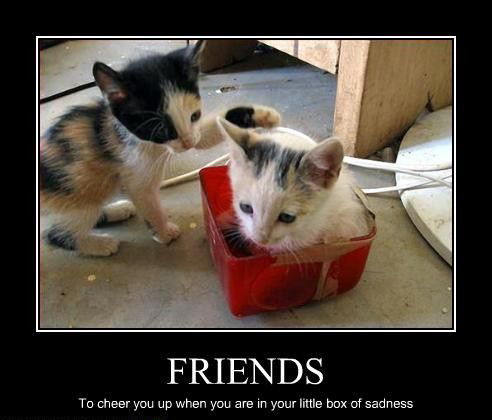 Friends - To Cheer You Up When You Are In Your Little Box Of Sadness