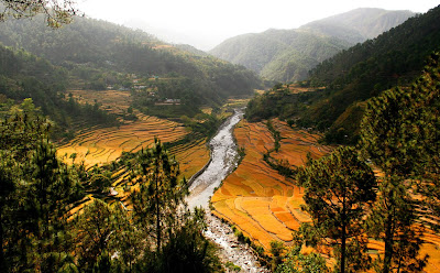 http://asalasah.blogspot.com/2013/01/8-pemandangan-sawah-teunik-dan-keren-di.html