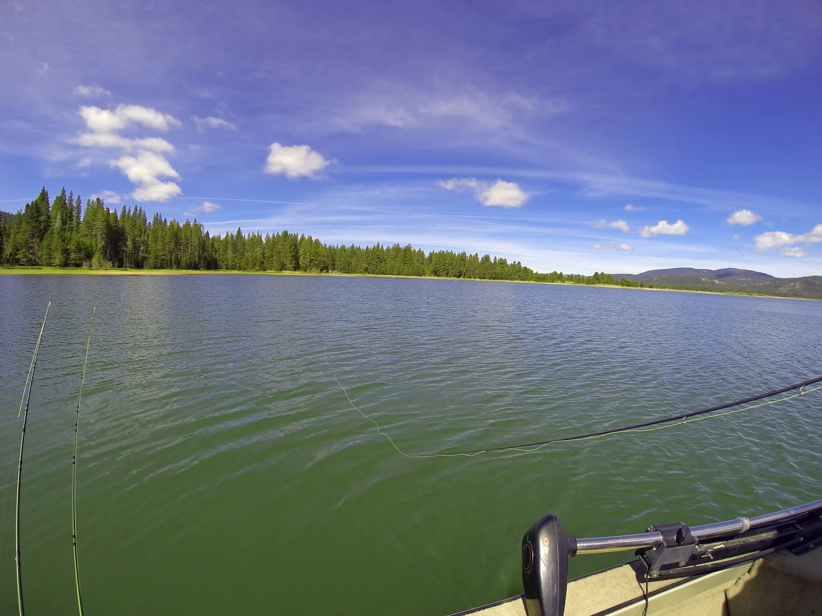 Jon Baiocchi Fly Fishing News: Lake Davis Fly Fishing Report ~ 6