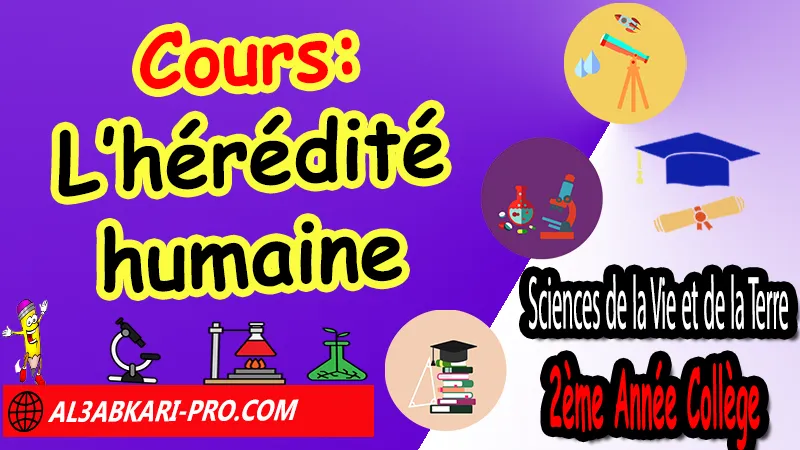 Cours N°4 sur l’hérédité humaine (en format WORD), Sciences de la Vie et de la Terre (SVT) de 2ème Année Collège, SVT 2AC biof, Sciences de la Vie et de la Terre (SVT) 2APIC option française, Cours sur L’hérédité humaine 2ème Année Collège 2AC word, Résumé de cours L’hérédité humaine 2ème Année Collège 2AC, Cours et résumés sur L’hérédité humaine 2ème Année Collège 2AC, Activités sur L’hérédité humaine 2ème Année Collège 2AC, exposé sur L’hérédité humaine, Sciences de la Vie et de la Terre (SVT) 2ème année collège en Francais Cours et résumés, svt 2ème année collège word, svt 2ac Cours et résumés word