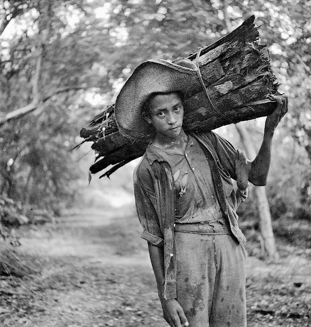 A young man carrying bayog bark along the Talisay-Tagaytay trail, 1934.
