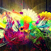 Absztrakt, színes virágok - Facebook borítókép