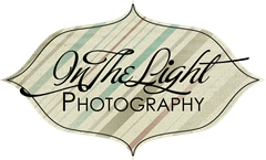 in the light photography logo 3