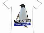 la maglietta virtuale fatta appositamente per me!!!