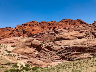 David Brodosi and family travel to the grand canyon