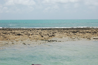 piscinas naturais na praia dos carneiros