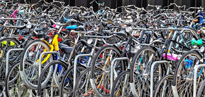 هولندا مملكة الدراجات