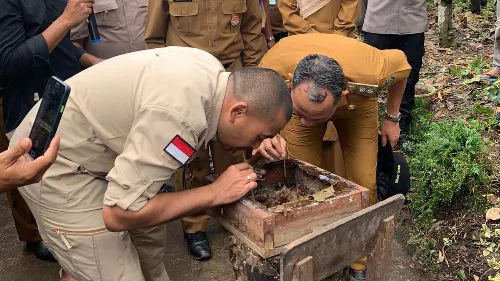 Wagub Kenalkan Eduwisata Madu Galo-Galo KUPS Lambah Sighabungan