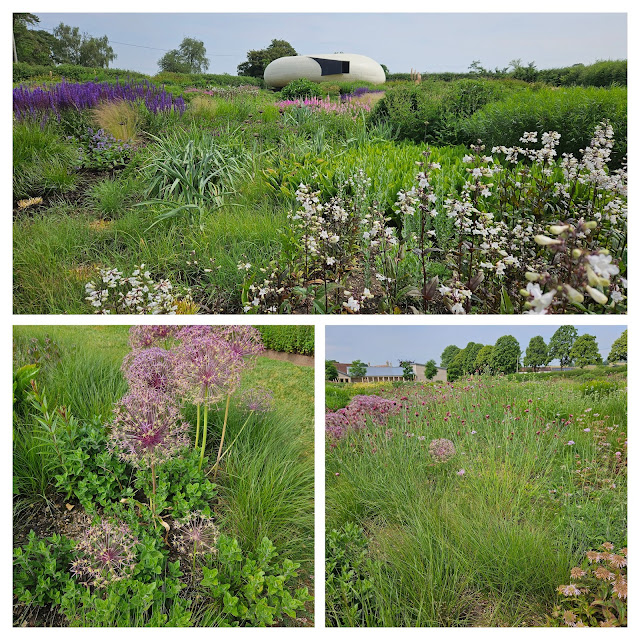 Collage of three photos of the garden at Hauser and Wirth, Somerset, featuring some gorgeous purple alliums